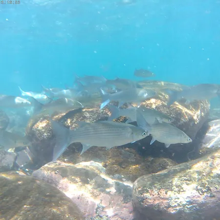 Val Del Puerto Patalavaca Mogán